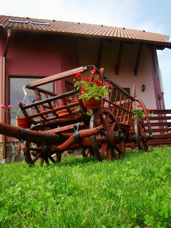 Hotel Colt De Rai Covasna Zewnętrze zdjęcie